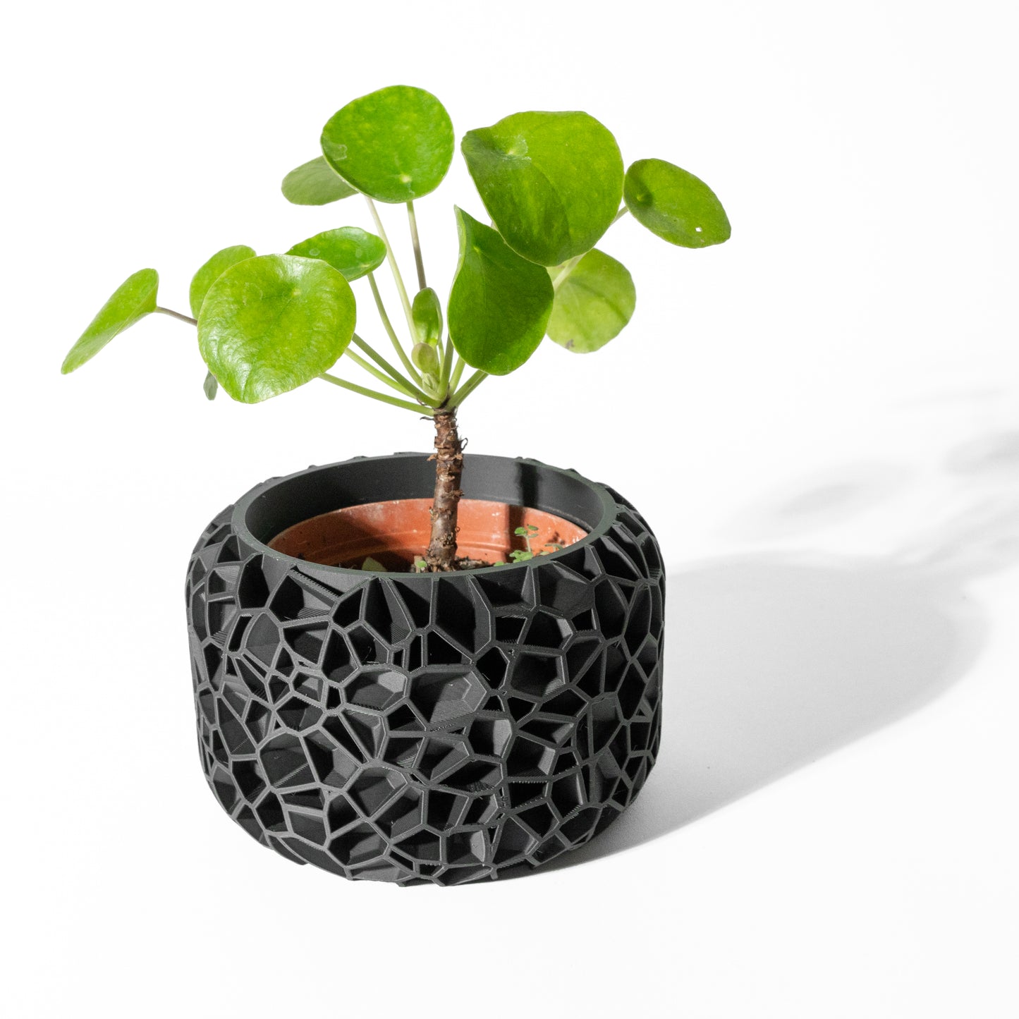 Voidscape Planter