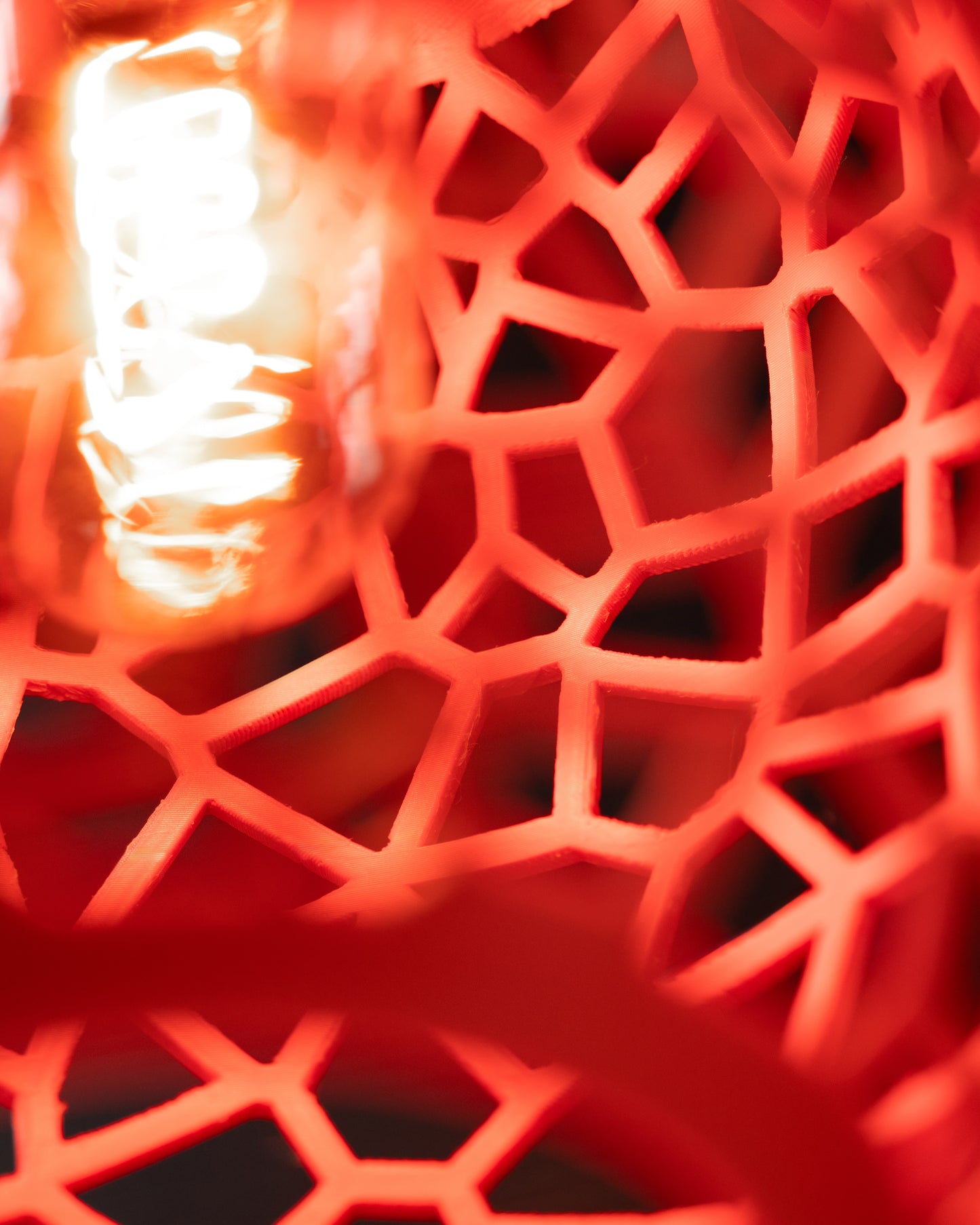Nebula  - 3D-Printed Light Shade
