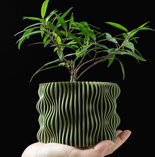 Ripple Planter